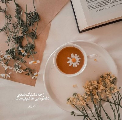مهیار کی دلش میخواد شبا مثل جغد بیدار باشه